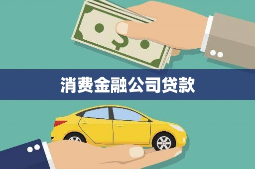 高树消费金融公司贷款