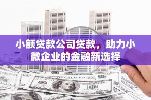 高树小额贷款公司贷款，助力小微企业的金融新选择