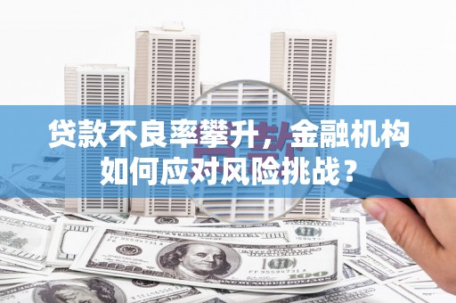 高树贷款不良率攀升，金融机构如何应对风险挑战？