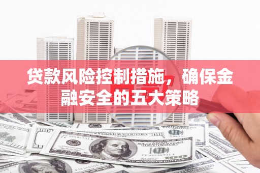 高树贷款风险控制措施，确保金融安全的五大策略