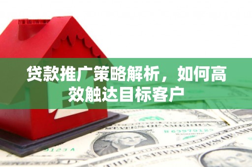 高树贷款推广策略解析，如何高效触达目标客户