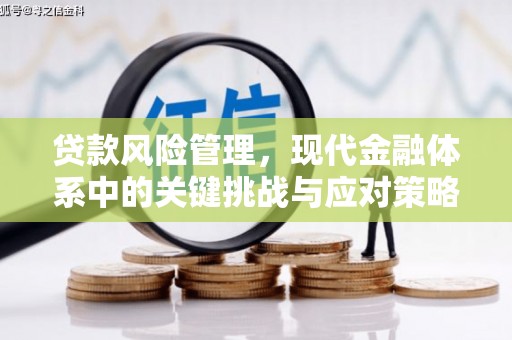 高树贷款风险管理，现代金融体系中的关键挑战与应对策略