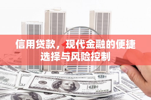 高树信用贷款，现代金融的便捷选择与风险控制