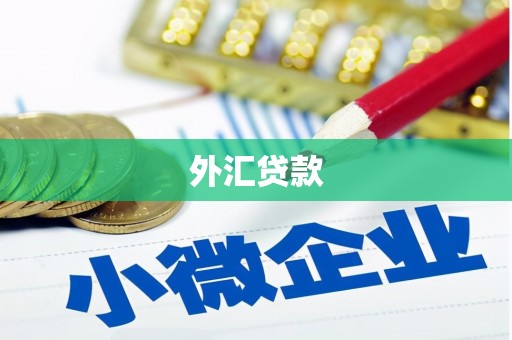 高树外汇贷款