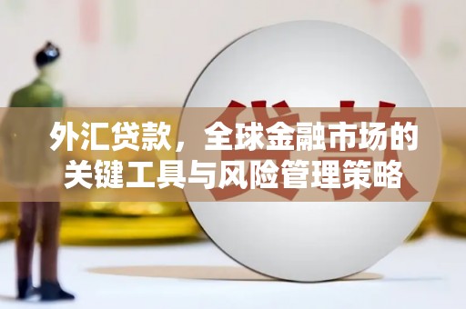 高树外汇贷款，全球金融市场的关键工具与风险管理策略