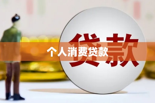 高树个人消费贷款