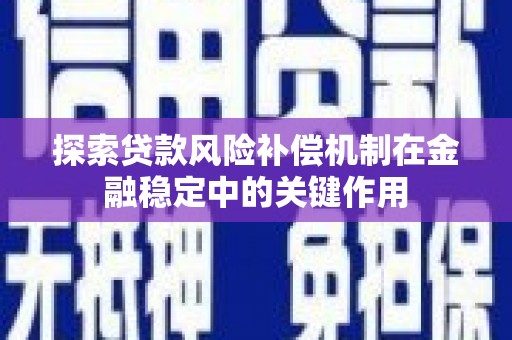 高树探索贷款风险补偿机制在金融稳定中的关键作用