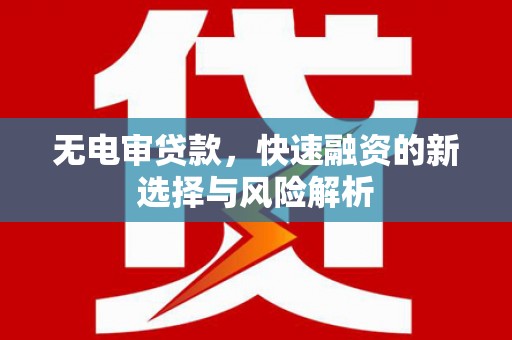 高树无电审贷款，快速融资的新选择与风险解析