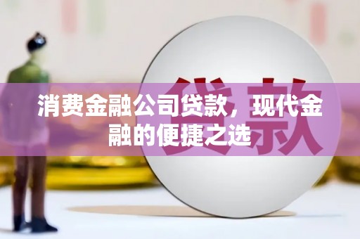 高树消费金融公司贷款，现代金融的便捷之选