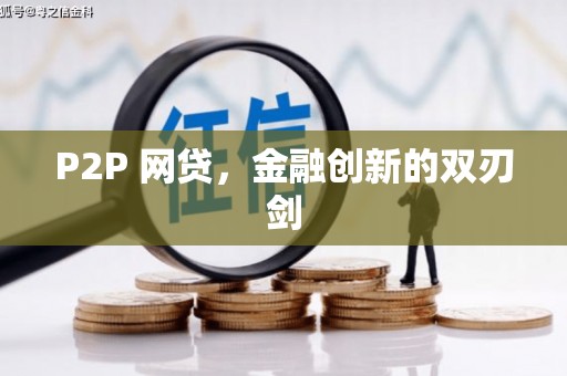 高树P2P 网贷，金融创新的双刃剑