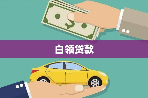 高树白领贷款