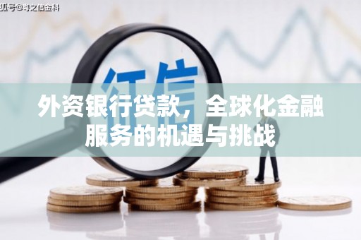 高树外资银行贷款，全球化金融服务的机遇与挑战