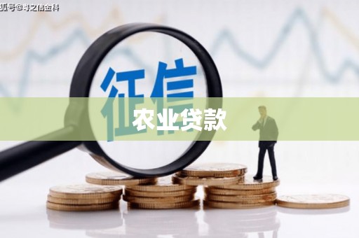 高树农业贷款