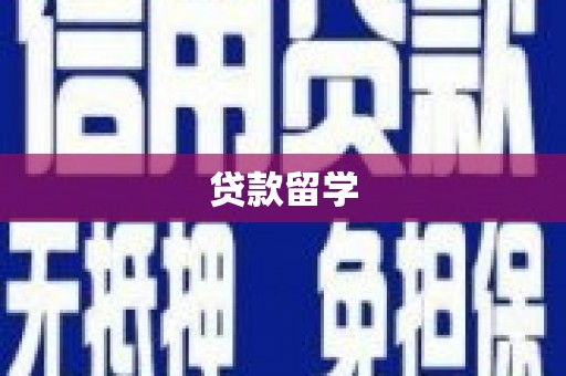 高树贷款留学
