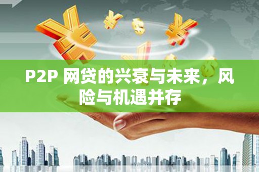 高树P2P 网贷的兴衰与未来，风险与机遇并存