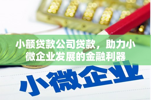 高树小额贷款公司贷款，助力小微企业发展的金融利器