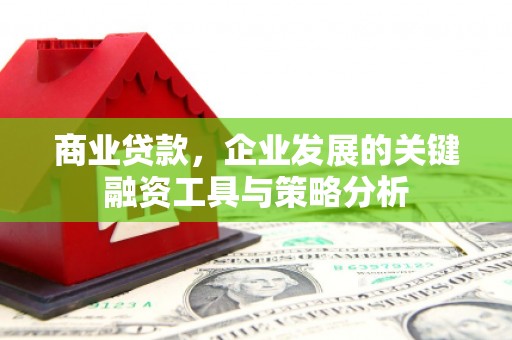 高树商业贷款，企业发展的关键融资工具与策略分析