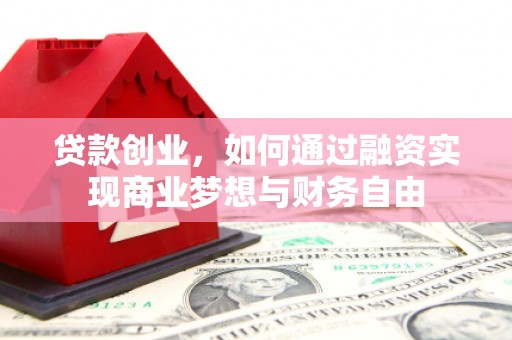 高树贷款创业，如何通过融资实现商业梦想与财务自由