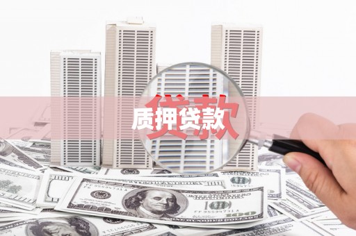 高树质押贷款