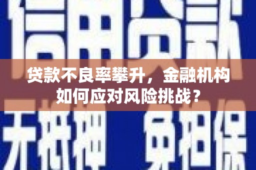高树贷款不良率攀升，金融机构如何应对风险挑战？