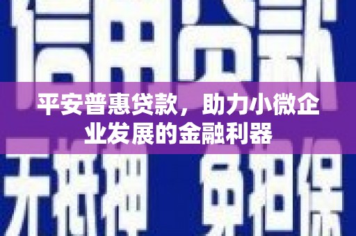 高树平安普惠贷款，助力小微企业发展的金融利器