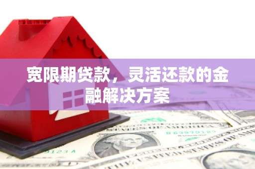高树宽限期贷款，灵活还款的金融解决方案