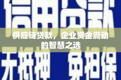 高树供应链贷款，企业资金流动的智慧之选