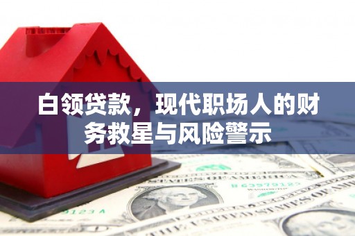 高树白领贷款，现代职场人的财务救星与风险警示
