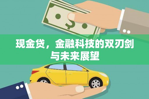 高树现金贷，金融科技的双刃剑与未来展望