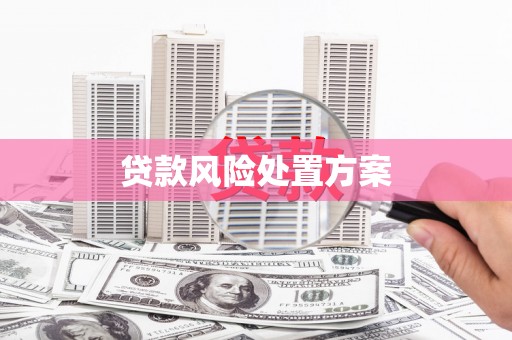 高树贷款风险处置方案