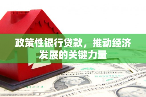 高树政策性银行贷款，推动经济发展的关键力量