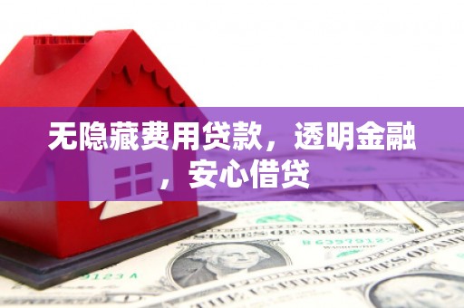 高树无隐藏费用贷款，透明金融，安心借贷