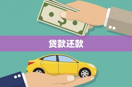 高树贷款还款