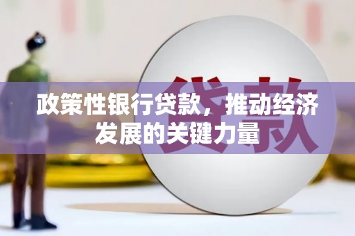 高树政策性银行贷款，推动经济发展的关键力量
