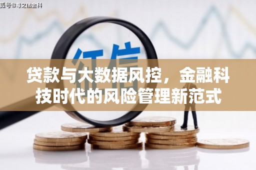 高树贷款与大数据风控，金融科技时代的风险管理新范式