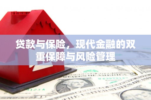 高树贷款与保险，现代金融的双重保障与风险管理