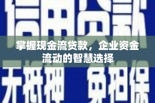 高树掌握现金流贷款，企业资金流动的智慧选择