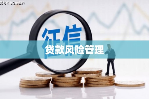 高树贷款风险管理