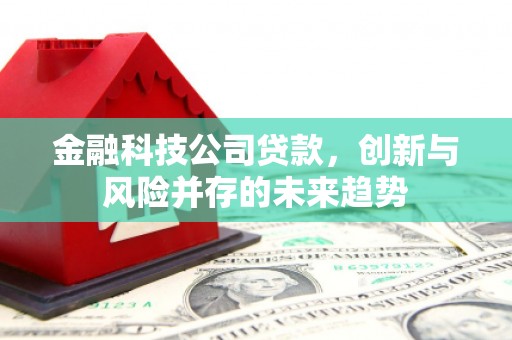 高树金融科技公司贷款，创新与风险并存的未来趋势