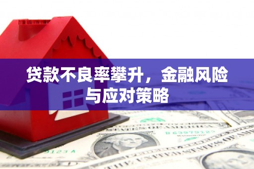 高树贷款不良率攀升，金融风险与应对策略