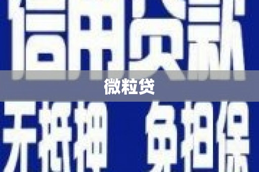 高树微粒贷