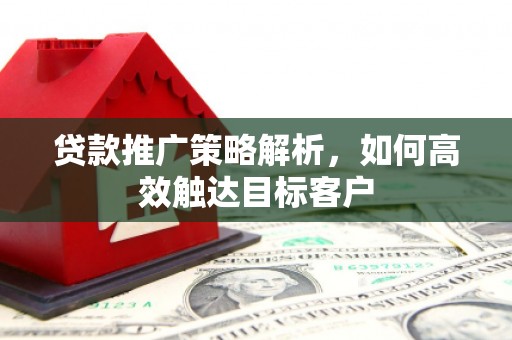 高树贷款推广策略解析，如何高效触达目标客户