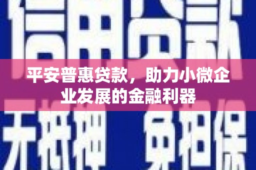 高树平安普惠贷款，助力小微企业发展的金融利器