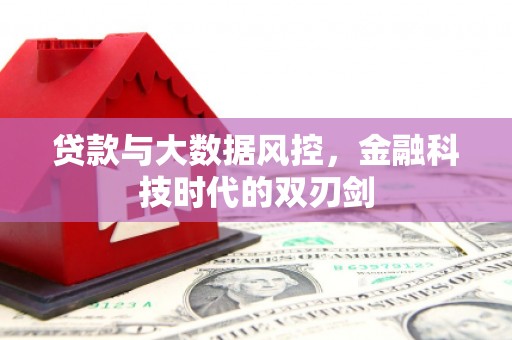 高树贷款与大数据风控，金融科技时代的双刃剑