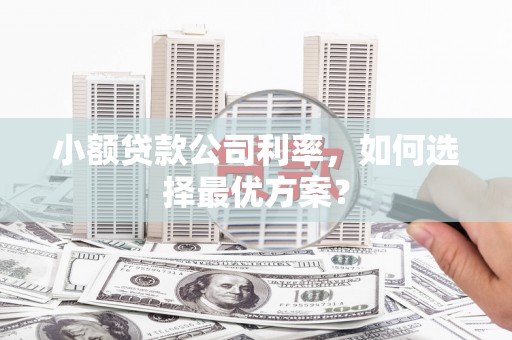 高树小额贷款公司利率，如何选择最优方案？