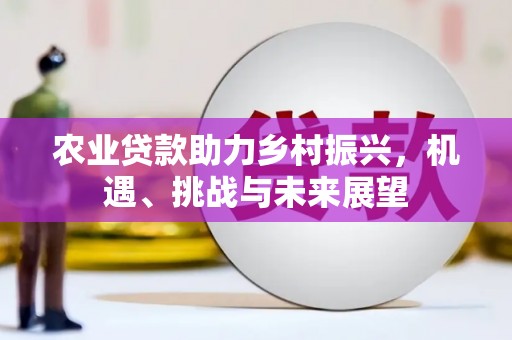 高树农业贷款助力乡村振兴，机遇、挑战与未来展望