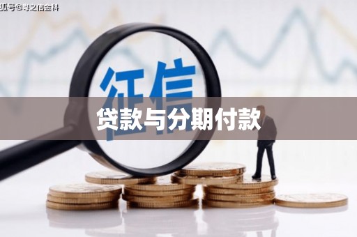 高树贷款与分期付款