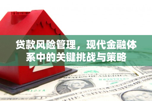高树贷款风险管理，现代金融体系中的关键挑战与策略