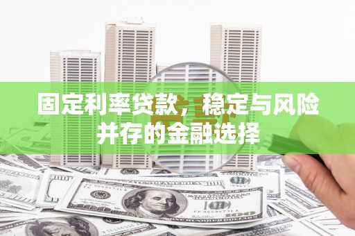 高树固定利率贷款，稳定与风险并存的金融选择
