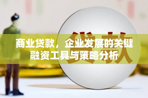 高树商业贷款，企业发展的关键融资工具与策略分析